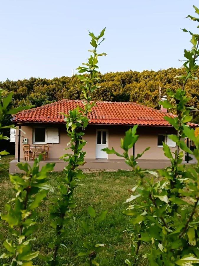 Вилла Billy'S House Калампака Экстерьер фото